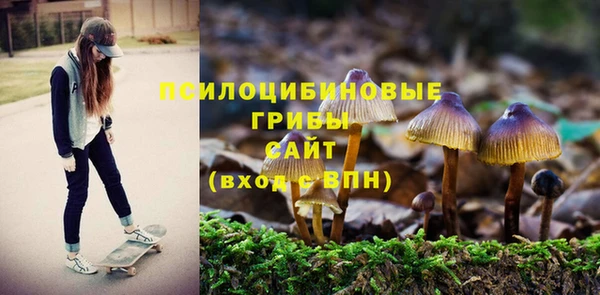 mix Богородицк