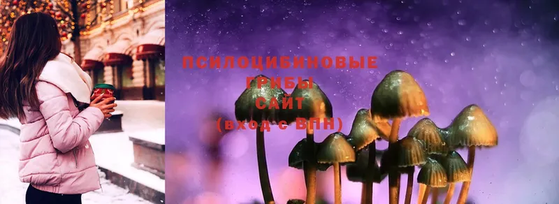 omg ССЫЛКА  наркота  Полярные Зори  Галлюциногенные грибы Cubensis 